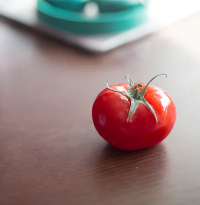 pomodoro technique