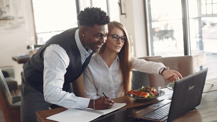 peer mentoring, Mentorat Professionnel