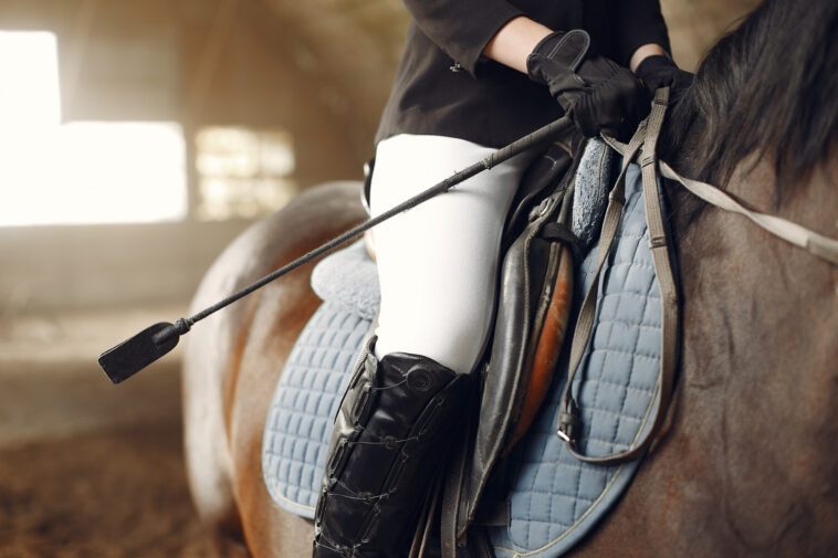Équipement d'équitation : les accessoires incontournables