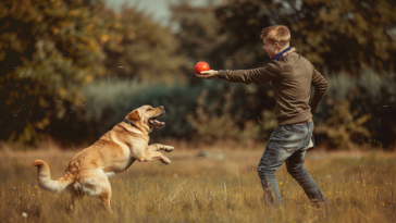découvrez l'importance de l'éducation animale pour renforcer la relation entre vous et votre compagnon à quatre pattes. apprenez des techniques efficaces pour éduquer votre chien ou chat, favoriser son bien-être et assurer une cohabitation harmonieuse. explorez nos conseils et astuces pour une éducation positive et bienveillante.
