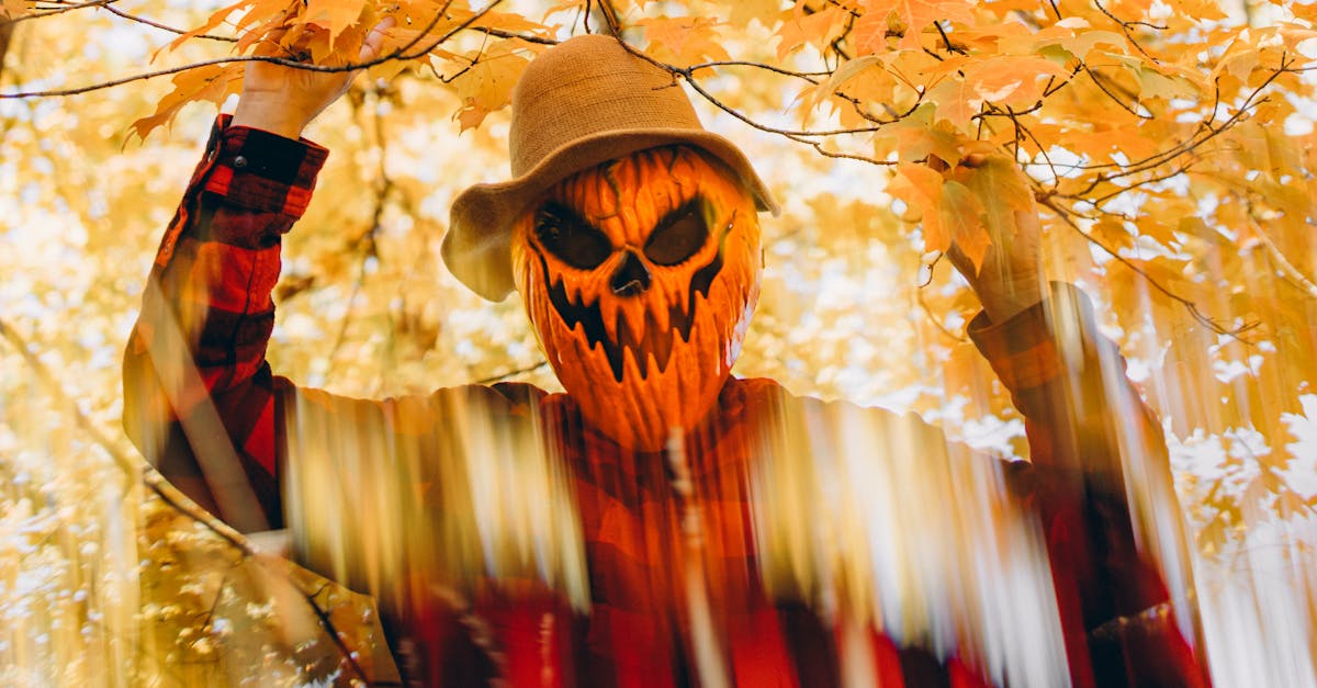 découvrez october theory, une exploration captivante des idées et des tendances qui façonnent notre compréhension de la diversité et de la créativité. plongez dans une réflexion profonde sur l'innovation et l'art contemporain, révélant comment chaque octobre apporte son lot d'inspirations et de transformations.