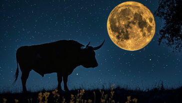 découvrez la beauté spectaculaire de la superlune : un phénomène céleste où la lune apparaît plus grande et plus lumineuse dans le ciel. ne manquez pas cette occasion unique d'admirer un spectacle astral à couper le souffle.