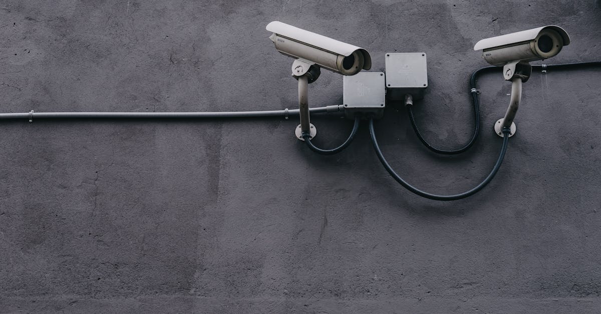 L’importance cruciale de la cybersécurité : la compétence incontournable pour les entrepreneurs de demain